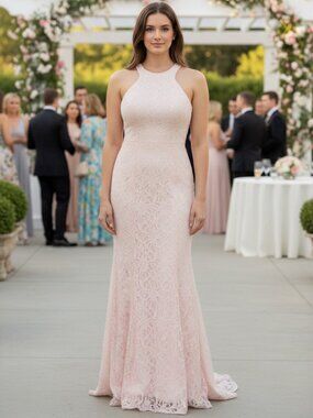 Beautiful R & M Richards Nightway Blush/Ivory Gown